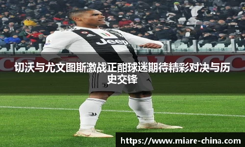 zoty中欧官方网站